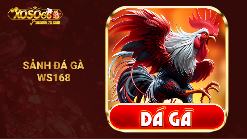 Sảnh đá gà WS168